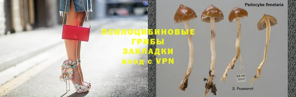 стаф Беломорск