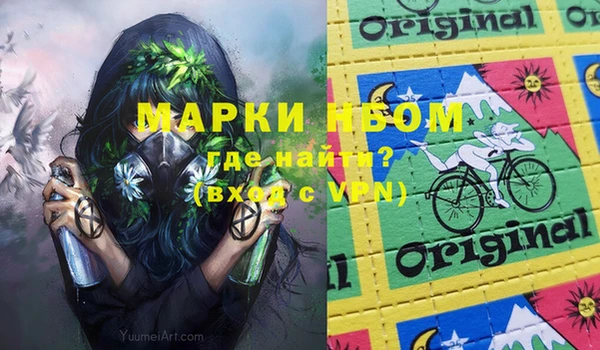 ГАЛЛЮЦИНОГЕННЫЕ ГРИБЫ Белокуриха