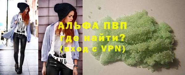 ГАЛЛЮЦИНОГЕННЫЕ ГРИБЫ Белокуриха
