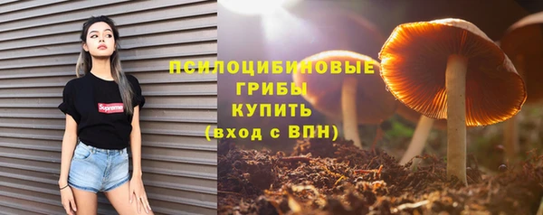 стаф Беломорск