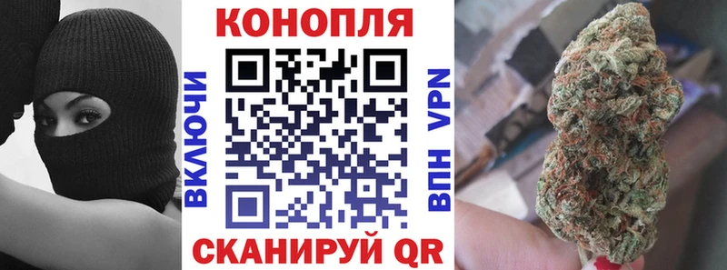 Бошки марихуана конопля Балашиха